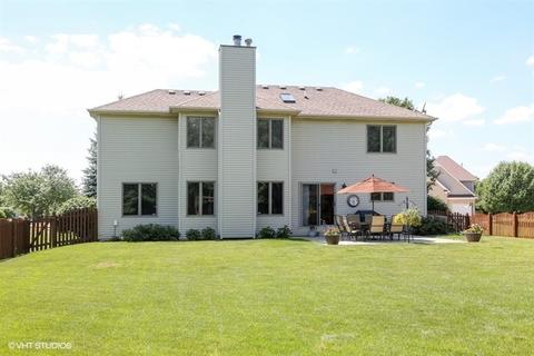 13251 Brooklands Ln, Plainfield, IL 60585 photo 28