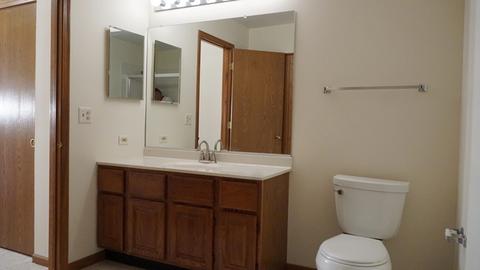 20832 W Peppertree Ct, Plainfield, IL 60544 photo 10