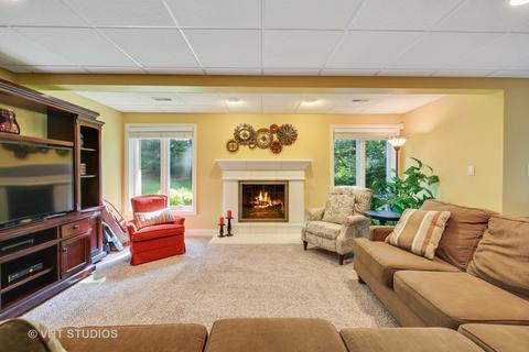 8973 Reserve Dr, Willow Springs, IL 60480 photo 19