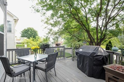 919 Adderly Ln, Gurnee, IL 60031 photo 22