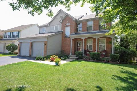 919 Adderly Ln, Gurnee, IL 60031 photo 1