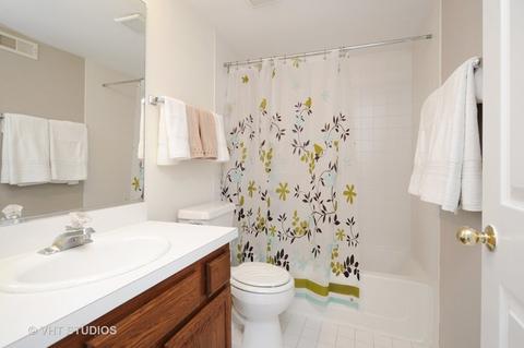 919 Adderly Ln, Gurnee, IL 60031 photo 18