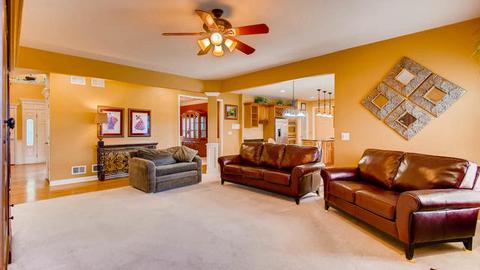 25813 Ross St, Plainfield, IL 60585 photo 16