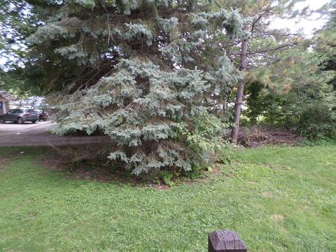 3542 Front St, Matteson, IL 60443 photo 20