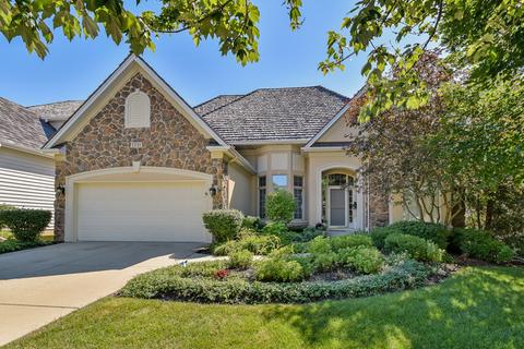 1211 Arborside Dr, Aurora, IL 60502 photo 1