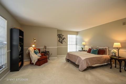 5500 Carriageway Dr #314C, Rolling Meadows, IL 60008 photo 11