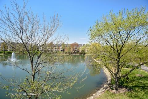 5500 Carriageway Dr #314C, Rolling Meadows, IL 60008 photo 19