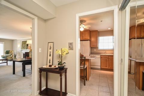 5500 Carriageway Dr #314C, Rolling Meadows, IL 60008 photo 2