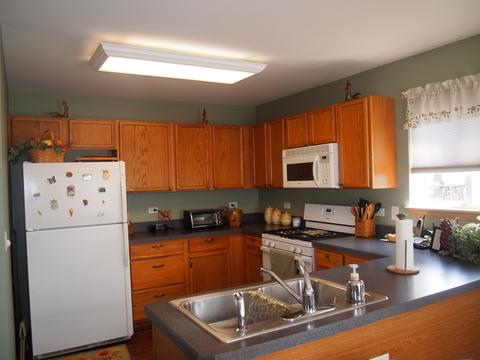 14513 Thomas Jefferson Dr, Plainfield, IL 60544 photo 5
