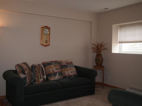 14513 Thomas Jefferson Dr, Plainfield, IL 60544 photo 8