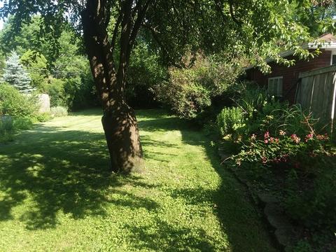 447 Selborne Rd, Riverside, IL 60546 photo 17