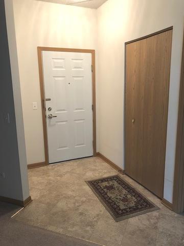 3100 Town Square Dr #106, Rolling Meadows, IL 60008 photo 13
