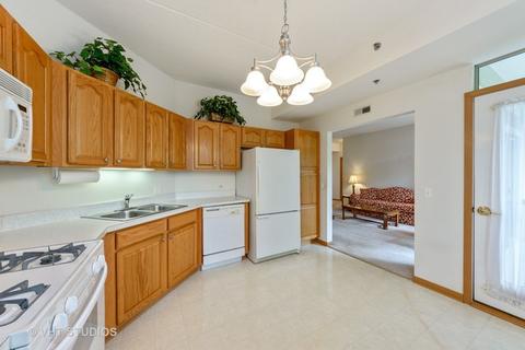3100 Town Square Dr #106, Rolling Meadows, IL 60008 photo 4