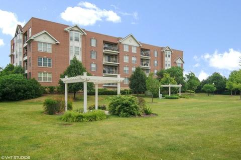 3100 Town Square Dr #106, Rolling Meadows, IL 60008 photo 12