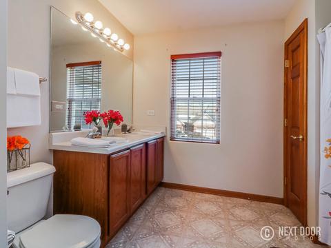 511 Goodwin Dr, Bolingbrook, IL 60440 photo 17
