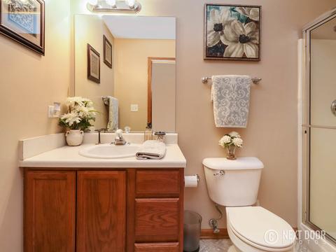511 Goodwin Dr, Bolingbrook, IL 60440 photo 21