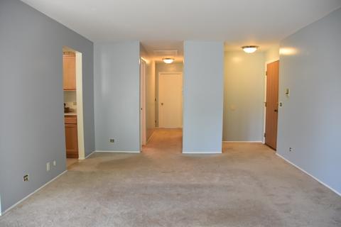 1101 Wildberry Ct #B2, Wheeling, IL 60090 photo 8