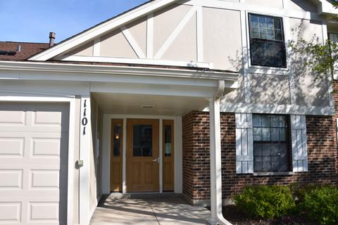 1101 Wildberry Ct #B2, Wheeling, IL 60090 photo 1
