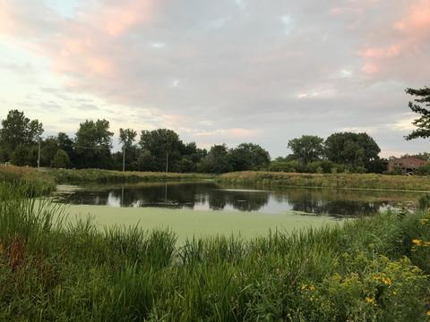1960 Darling St, Wheaton, IL 60187 photo 28