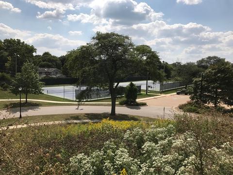 1960 Darling St, Wheaton, IL 60187 photo 32