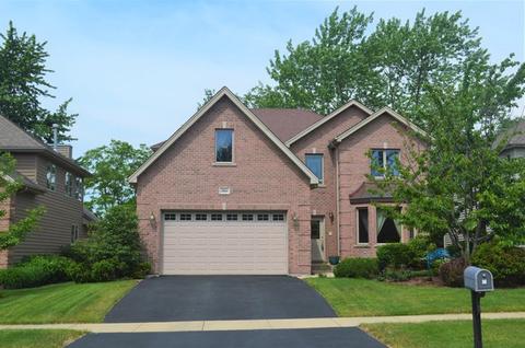 1960 Darling St, Wheaton, IL 60187 photo 3