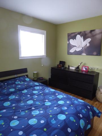 1475 Dennison Rd, Hoffman Estates, IL 60195 photo 17