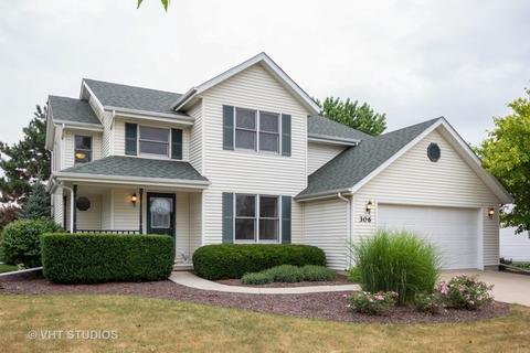 306 Chippewa Dr, Minooka, IL 60447 photo 1