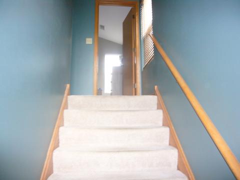 2223 Dalewood Ct, Plainfield, IL 60586 photo 9