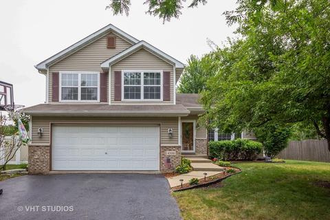 4506 Northmont Dr, Plainfield, IL 60586 photo 1
