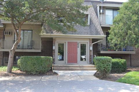 234 E Bailey Rd #M, Naperville, IL 60565 photo 1