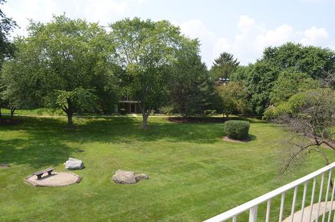 234 E Bailey Rd #M, Naperville, IL 60565 photo 13
