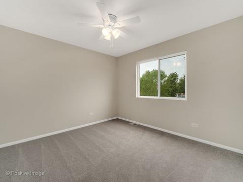 1719 Caton Ridge Dr, Plainfield, IL 60586 photo 21