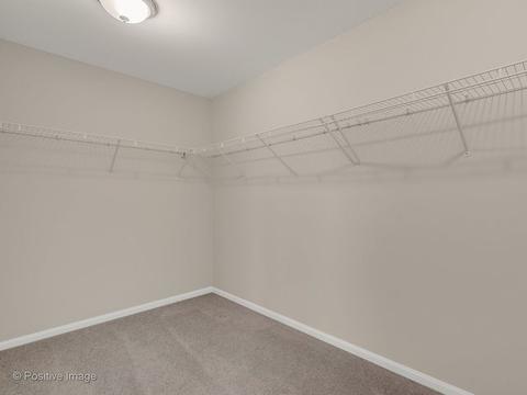 1719 Caton Ridge Dr, Plainfield, IL 60586 photo 19