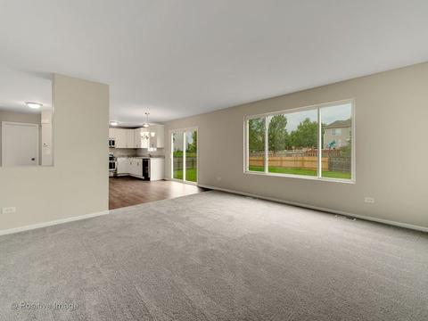 1719 Caton Ridge Dr, Plainfield, IL 60586 photo 9