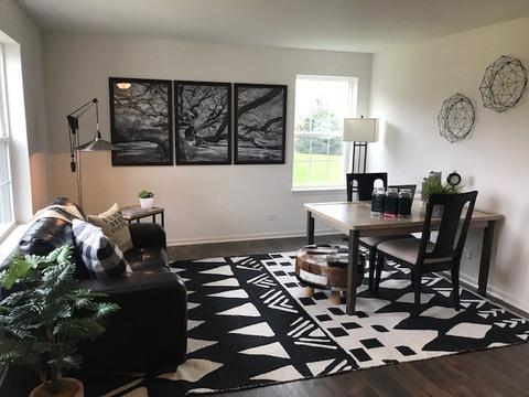 26807 Ashgate Xing, Plainfield, IL 60585 photo 2