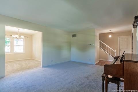 3960 Whispering Trails Dr, Hoffman Estates, IL 60192 photo 8