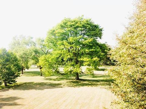 1001 Cobb Blvd, Kankakee, IL 60901 photo 26