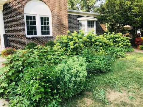 1001 Cobb Blvd, Kankakee, IL 60901 photo 31