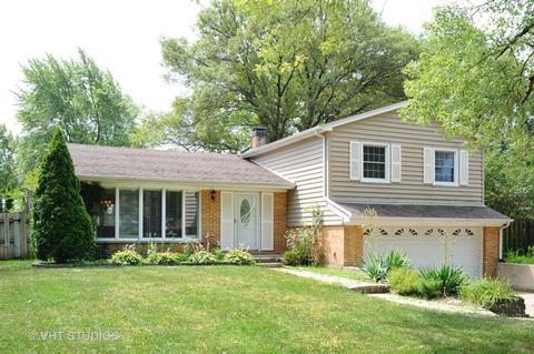 1759 E Cree Ln, Mount Prospect, IL 60056 photo 2