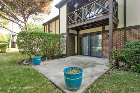 1038 Harbour Ct #1BR, Wheeling, IL 60090 photo 10
