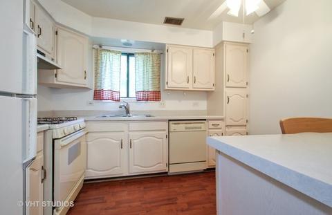 1038 Harbour Ct #1BR, Wheeling, IL 60090 photo 3