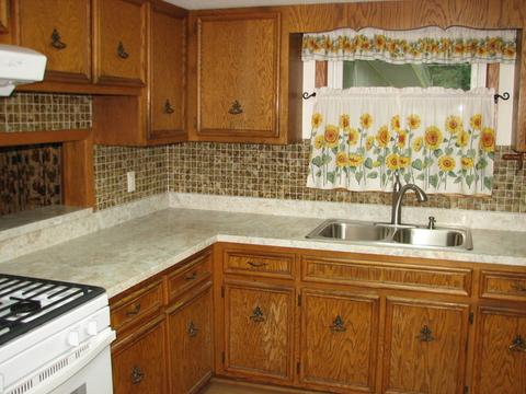 3650 Dixon Dr, Morris, IL 60450 photo 5