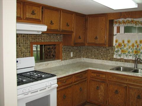 3650 Dixon Dr, Morris, IL 60450 photo 4
