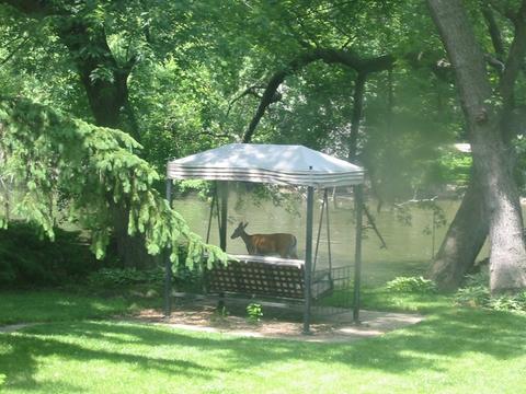 1313 Fox River Dr, Algonquin, IL 60102 photo 33