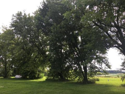 10308 Hunter Rd, Capron, IL 61012 photo 25