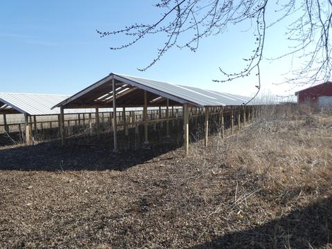10308 Hunter Rd, Capron, IL 61012 photo 29
