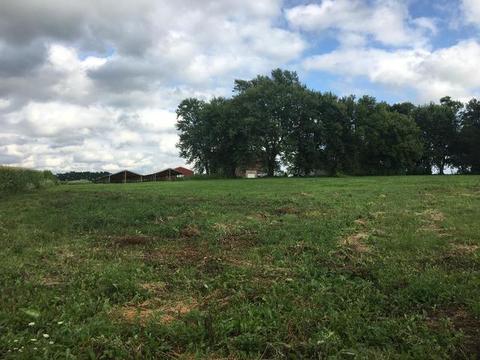 10308 Hunter Rd, Capron, IL 61012 photo 27