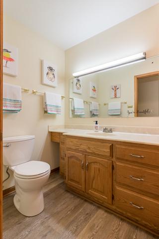 15308 Pine Dr, Oak Forest, IL 60452 photo 19