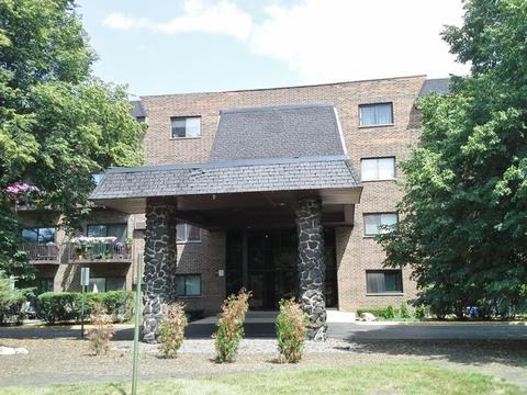 239 N Mill Rd #106, Addison, IL 60101 photo 1