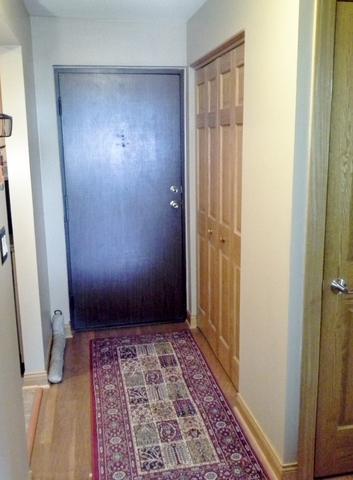 239 N Mill Rd #106, Addison, IL 60101 photo 5
